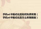 手机sd卡格式化后如何免费恢复（手机sd卡格式化后怎么恢复数据）