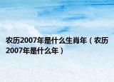农历2007年是什么生肖年（农历2007年是什么年）