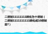 二进制11111111转化为十进制（二进制1111111111转化成10进制是?）