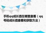 手机qq成长值在哪里查看（qq号码成长值查看和获取方法）