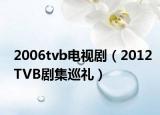 2006tvb电视剧（2012TVB剧集巡礼）
