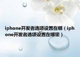 iphone开发者选项设置在哪（iphone开发者选项设置在哪里）