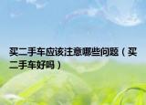 买二手车应该注意哪些问题（买二手车好吗）