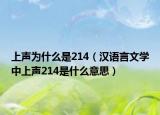 上声为什么是214（汉语言文学中上声214是什么意思）
