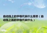 自动挡上的字母代表什么意思（自动挡上面的字母代表什么）