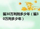 骗30万判刑多少年（骗30万判多少年）