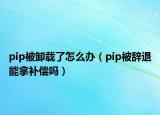 pip被卸载了怎么办（pip被辞退能拿补偿吗）