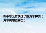 新手怎么样快速了解汽车种类（汽车有哪些种类）