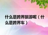 什么是跨界旅游呢（什么是跨界车）