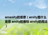 amenity的意思（amity是什么意思 amity的音标 amity的用法）