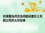 社保是当月交当月的还是交上月的公司怎么交社保