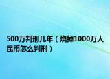 500万判刑几年（烧掉1000万人民币怎么判刑）