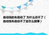 自动挡的车启动了 为什么动不了（自动挡车启动不了是怎么回事）