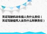 无证驾驶机动车撞人负什么责任（无证驾驶撞死人该负什么刑事责任）