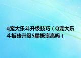 q宠大乐斗升级技巧（Q宠大乐斗板砖升级5星概率高吗）