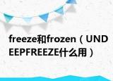 freeze和frozen（UNDEEPFREEZE什么用）