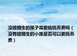 没结婚生的孩子需要给抚养费吗（没有结婚生的小孩是否可以要抚养费）