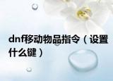 dnf移动物品指令（设置什么键）