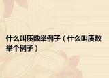 什么叫质数举例子（什么叫质数 举个例子）