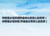 种树者必培其根种德者必养其心的意思（种树者必培其根,种德者必养其心的意思）