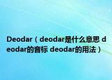 Deodar（deodar是什么意思 deodar的音标 deodar的用法）