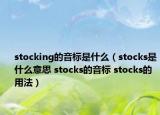 stocking的音标是什么（stocks是什么意思 stocks的音标 stocks的用法）