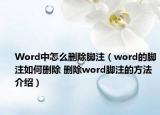 Word中怎么删除脚注（word的脚注如何删除 删除word脚注的方法介绍）
