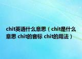 chit英语什么意思（chit是什么意思 chit的音标 chit的用法）