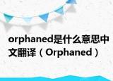 orphaned是什么意思中文翻译（Orphaned）