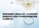 受保护的视图怎么取消excel中（excel中受保护的视图应该怎么解除 excel受保护的视图在哪里怎么解除介绍）