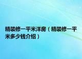 精装修一平米洋房（精装修一平米多少钱介绍）