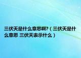 三伏天是什么意思啊?（三伏天是什么意思 三伏天表示什么）