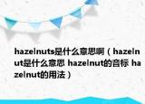hazelnuts是什么意思啊（hazelnut是什么意思 hazelnut的音标 hazelnut的用法）