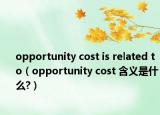 opportunity cost is related to（opportunity cost 含义是什么?）