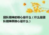 团队精神的核心是什么（什么是团队精神其核心是什么）