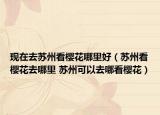 现在去苏州看樱花哪里好（苏州看樱花去哪里 苏州可以去哪看樱花）