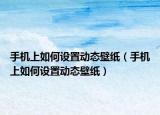 手机上如何设置动态壁纸（手机上如何设置动态壁纸）