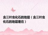 含三叶虫化石的地层（含三叶虫化石的地层是在）