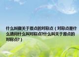 什么叫做关于原点的对称点（对称点是什么请问什么叫对称点?什么叫关于原点的对称点?）
