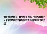 番石榴里面有白色的虫子吃了会怎么样?（石榴里面有白色的虫子还能吃吗详细介绍）