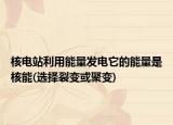 核电站利用能量发电它的能量是核能(选择裂变或聚变)