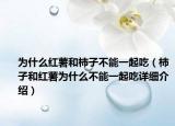 为什么红薯和柿子不能一起吃（柿子和红薯为什么不能一起吃详细介绍）