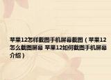 苹果12怎样截图手机屏幕截图（苹果12怎么截图屏幕 苹果12如何截图手机屏幕介绍）