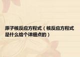 原子核反应方程式（核反应方程式是什么给个详细点的）