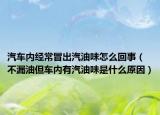 汽车内经常冒出汽油味怎么回事（不漏油但车内有汽油味是什么原因）