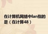 在计算机网络中lan指的是（在计算48）