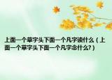 上面一个草字头下面一个凡字读什么（上面一个草字头下面一个凡字念什么?）