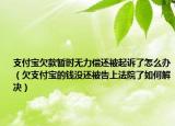 支付宝欠款暂时无力偿还被起诉了怎么办（欠支付宝的钱没还被告上法院了如何解决）