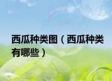 西瓜种类图（西瓜种类有哪些）