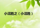 小沼胜之（小沼胜）